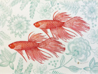 津久井 智子 Tomoko Tsukui