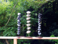 望月 士 Makoto Mochizuki