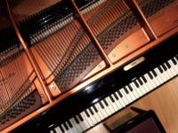 庄司 京子 Kyoko shoji