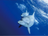 水野 京子 Kyoko Mizuno