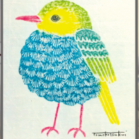 津久井 智子 Tomoko Tsukui